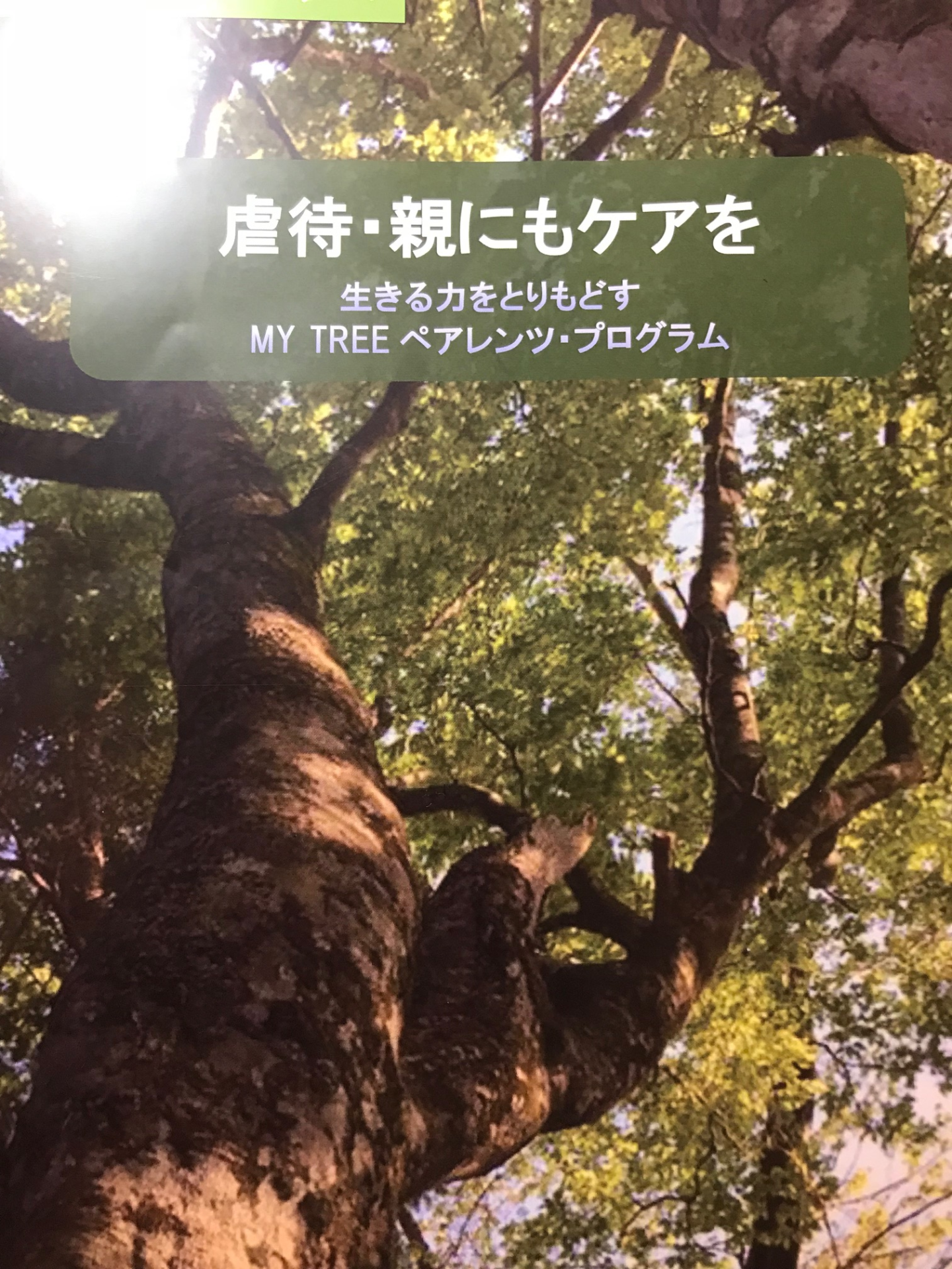 MY TREEプログラム